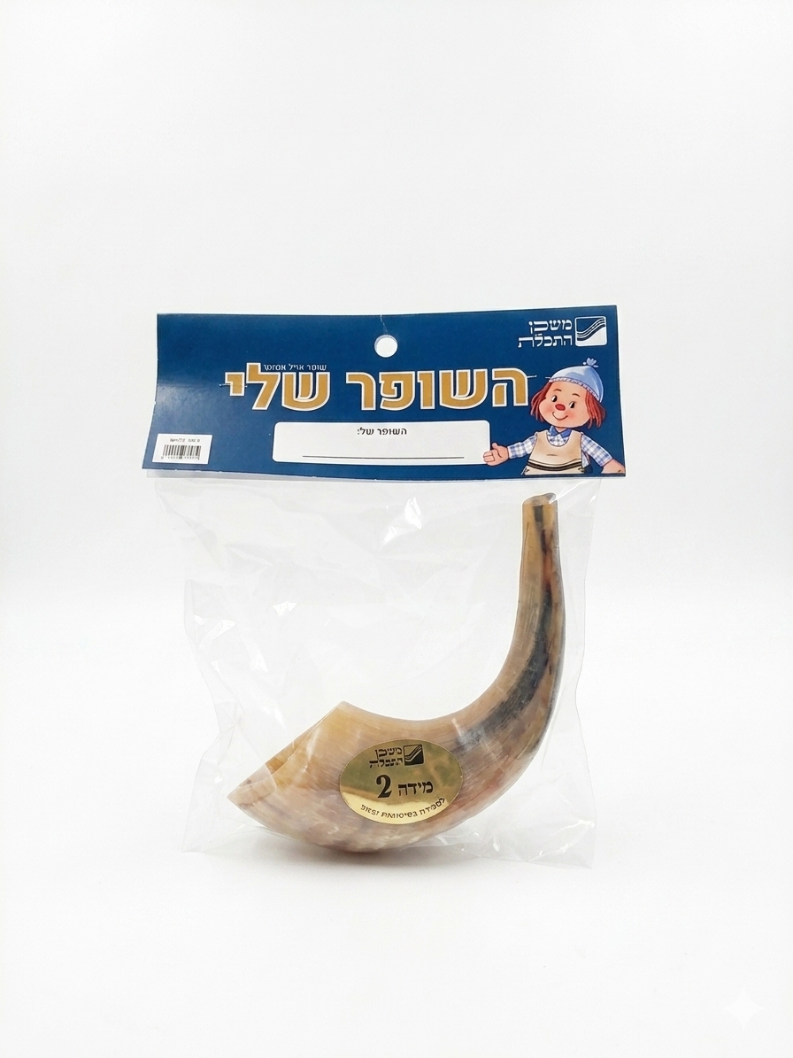 שופר כבש/אייל מידה 2 לילדים